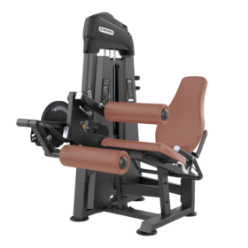 Sketra Leg Extension & Leg Curl (U3086C)